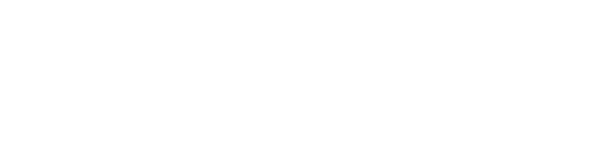 navarro-logo-negativo