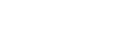 viviflex